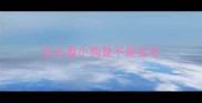 怎么看小狗是不是金毛