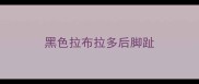 黑色拉布拉多后脚趾
