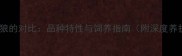哈士奇与狼的对比品种特性与饲养指南附深度养护建议