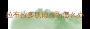 拉布拉多肌肉拉伤怎么办