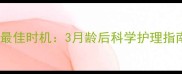 幼犬洗澡的最佳时机3月龄后科学护理指南深度