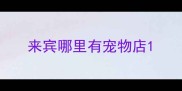 来宾哪里有宠物店