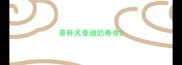 茶杯犬泰迪的寿命