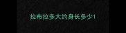 拉布拉多大约身长多少