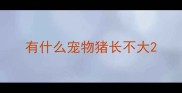 有什么宠物猪长不大