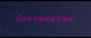 边牧怀孕期间能洗澡吗