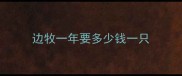 边牧一年要多少钱一只