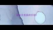 猫鼻支疫苗的价钱