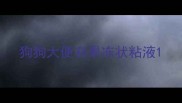狗狗大便有果冻状粘液