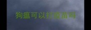 狗瘟可以打疫苗吗