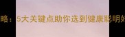 拉布拉多选购全攻略5大关键点助你选到健康聪明好性格的黄金伙伴