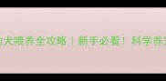 2月大幼犬喂养全攻略新手必看科学养宠不踩坑