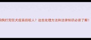 狗狗打完狂犬疫苗后咬人这些处理方法和法律知识必须了解