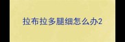 拉布拉多腿细怎么办