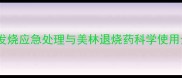 哈士奇发烧应急处理与美林退烧药科学使用全指南