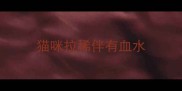 猫咪拉稀伴有血水