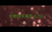 宠物狗长癣怎么办