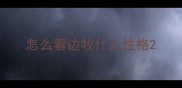 怎么看边牧什么性格