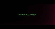 初生幼犬要打几针疫苗