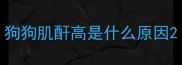 狗狗肌酐高是什么原因