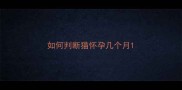 如何判断猫怀孕几个月