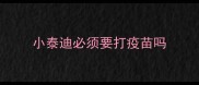 小泰迪必须要打疫苗吗