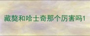 藏獒和哈士奇那个厉害吗