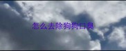 怎么去除狗狗口臭