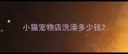 小猫宠物店洗澡多少钱