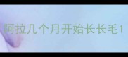 阿拉几个月开始长长毛
