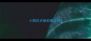 小狗狂犬病初期症状
