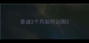 泰迪2个月如何训厕