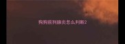 狗狗前列腺炎怎么判断