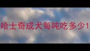 哈士奇成犬每吨吃多少