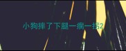 小狗摔了下腿一瘸一拐