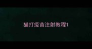猫打疫苗注射教程