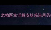 狗狗红霉素软膏能用吗宠物医生详解皮肤感染用药指南附安全使用方案