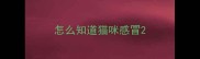 怎么知道猫咪感冒
