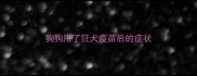 狗狗用了狂犬疫苗后的症状