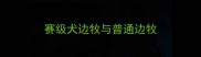 赛级犬边牧与普通边牧
