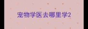 宠物学医去哪里学