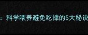 哈士奇贪吃指南科学喂养避免吃撑的5大秘诀附健康食谱