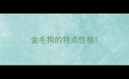 金毛狗的特点性格