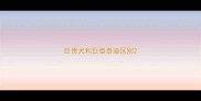 巨贵犬和巨型泰迪区别