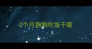 2个月狗狗吃饭干呕