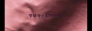 泰迪身上有白色虫
