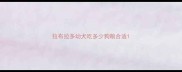 拉布拉多幼犬吃多少狗粮合适