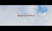 金毛起什么名字好听公