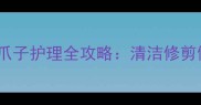 新手必看小狗爪子护理全攻略清洁修剪健康问题一篇说清