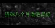 猫咪几个月做绝育好
